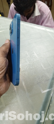 Apple 13